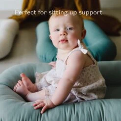 HugMe Baby Snuggle Baby Lounger For Age 0 - 12 Months -Baby Products Store baby snuggle baby lounger proactive baby 37008770269426