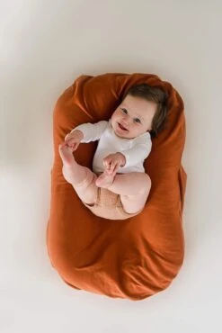 HugMe Baby Snuggle Baby Lounger For Age 0 - 12 Months -Baby Products Store hugme baby snuggle baby lounger for age 0 12 months proactive baby 37200969269490